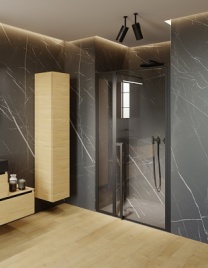 LUCID GD104 1200 x 2000 BLACK дверь в нишу, черный RIHO